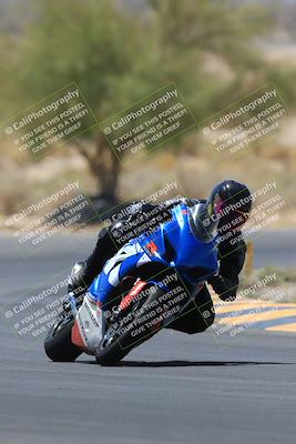 media/May-14-2023-SoCal Trackdays (Sun) [[024eb53b40]]/Turn 5 Tree of Life (1125am)/